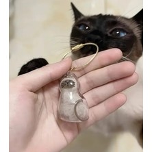 Yaratıcı Sanatlar Atölyesi Şeffaf Kedi Tüyü Saklama Kapsülü Gashapon Kedi Tüyü Anı Hediyesi Kedisever Anahtarlık Aksesuar