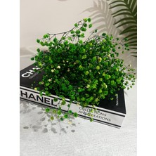 Ziva Dekor Yeşil Şoklanmış Cipso