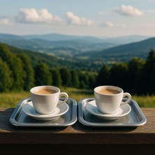 2'li Renkli Kırılmaz Plastik Kare Düz Kahve & Çay & Tatlı Sunum Tepsisi