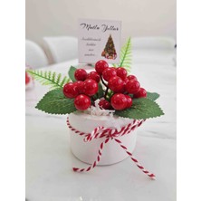 Seka Yeni Yıl Hediyelik Yapay Kokina 1 Adet Saksıda