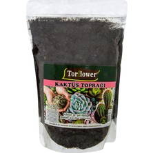 Torflower Kaktüs Toprağı 2 L 4 Adet