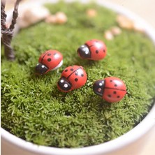 Minyatür Teraryum Kırmızı Yapışkanlı Uğur Böceği (50 Adet)