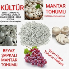 Tarımsal ve Hayvansal Ürünler Kültür Mantarı Tohumu (10.000 Adet)