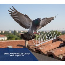 Expel Şeffaf Plastik Kuşkonmaz Bariyer Kuş Engelleyici Şeffafgaba Plastik