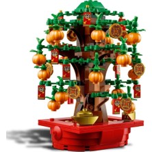 Timion Para Ağacı 40648