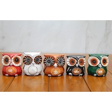 Novytech Ahşap 5'li Baykuş Seti 3