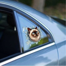 Homelya Fulcar Siamesse Araç Stickerı