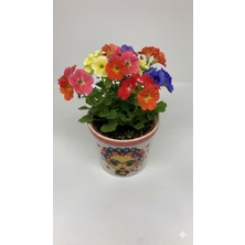 Lebron Seramik Dekoratif Saksı