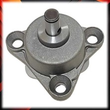 Moto Express Tvs Apache RTR150 RTR180 RAIDER125 Yağ Pompası