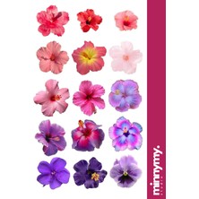 Minnymy Flower Collection Sticker, Çıkartma, Ajanda, Günlük, Planlayıcı, Bullet Journal , Scrapbook