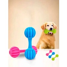 LTG Nova Çıngıraklı Evcil Hayvan Oyuncağı