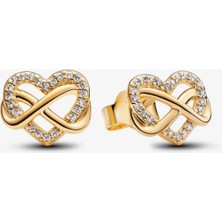 Hector Co Jewellery Işıltılı Sonsuz Kalp Çivi Küpeler