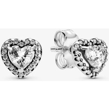 Hector Co Jewellery Yükseltilmiş Kalpli Çivi Küpe