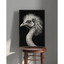 Rosa Art Tablo| Ahşap Çerçeveli Tablo| Çerçeveli Poster|devekuşu | Hayvan Temalı Tablo