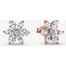 Hector Co Jewellery Işıltılı Herbaryum Çivi Rose Küpe