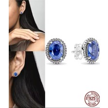 Hector Co Jewellery Işıltılı Büyük Mavi Taşlı Çivi Küpe