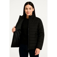 Cottonlab Bomber Mont Ceket – Su Itici Kumaş, Kapitone Astarlı, Fermuarlı, Kışlık - Siyah