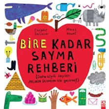 Novytech Bire Kadar Sayma Rehberi