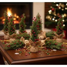 Akyol Mini Çam Ağacı ve Kokina 40 cm