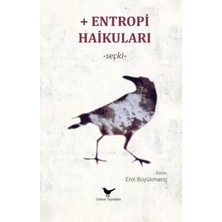 Günce Yayınları Entropi Haikuları