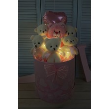 Sole Premium Silindir Kalpli Pembe Kutusunda, Kalpli Balonlu LED Işıklı 6’lı Pembe Ayıcık Buketi