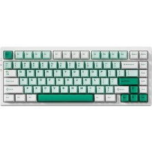 Mchose G75 Pro Green %75 Matcha Latte Switch Hotswap Rgb Kablosuz Ingilizce Mekanik Gaming Klavye (G75-9A)