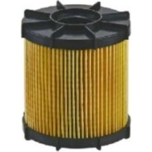 Erol Marin Benzin Yakıt Filtre Yedeği 10 Mıcron