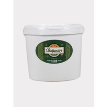 Balpınarı Süzme Çam Salgı Balı 20 Kg (Kova)