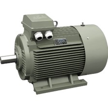 Deerco 3000 Rpm 15KW Sabit Mıknatıslı Enerji Verimlilik Senkron Motor (Demir Döküm)