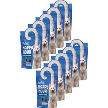 Reflex Plus Happy Hour Somonlu ve Yaban Mersinli Destekleyici Kedi Ödülü 10 x 60GR