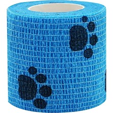 Epilons Pati Bandajı