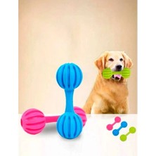 Epilons Çıngıraklı Evcil Hayvan Oyuncağı