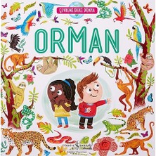 İş Bankası Kültür Yayınları Orman - Çevremizdeki Dünya + Cebimdeki Mandalina Ağaçları + Uzay – O Ünlü Patlama Hikayesi + 4 Kitap Set
