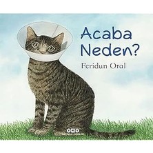 Yapı Kredi Yayınları Acaba Neden? + Çöp Ülkesi + Ingilizce Resimli Sözlük + Kitty ve Ağaç Tepelerinde Kovalamaca + 6 Kitap Set
