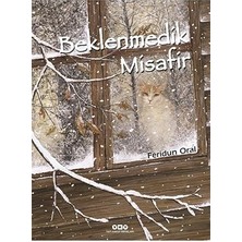 Yapı Kredi Yayınları Beklenmedik Misafir (Karton Kapak) + Teo'nun Gece Korkusu Kitabı + Sevimli Masallar 10 Kitap Set + 4 Kitap Set