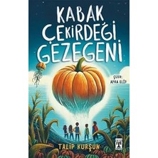 Genç Timaş Kabak Çekirdeği Gezegeni + Hadi Gezelim - Şehirde Kış: Ara-Bul Kitabı + Sakar Cadı Vini Altın Arıyor + 3 Kitap Set