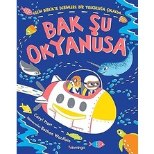 Domingo Yayınevi Bak Şu Okyanusa + Çaylak ile Filozof Ben Bir Neyim: Çaylak ile Filozof 1 + Paw Patrol Chase Uzay Görevinde + 2 Kitap Set