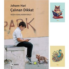Metis Yayıncılık Çalınan Dikkat - Neden Odaklanamıyoruz? - Johann Hari - (2 Not Defterli)