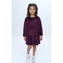 Toontoy Kız Çocuk Nakışlı Elbise