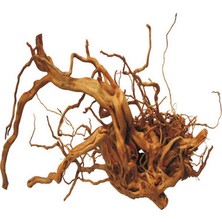 Mango Xmpdby Çöl Kütüğü (Bağ)