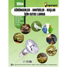 Tnyvet 100 Watt Kızılötesi / Gün Işığı Şeffaf Isıtıcı Lamba ve Kullanıma Hazır Kablolu Duy Seti