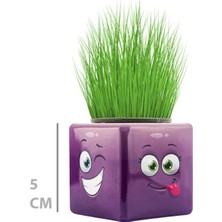 NessiWorld Çim Adam Mini Küp Emoji Figürlü 1 Adet