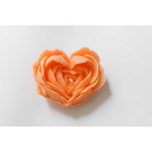 Medite Kalpli Gül Yapraklı Soya Wax Mum