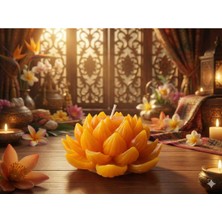 Medite Lotus Çiçeği Bal Mumu