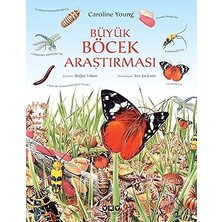 Yapı Kredi Yayınları Büyük Böcek Araştırması + Süper Çengel Bulmaca + 5 Kitap Set