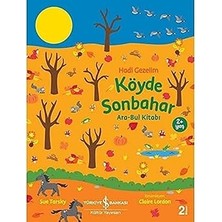 İş Bankası Kültür Yayınları Hadi Gezelim - Köyde Sonbahar: Ara-Bul Kitabı + Black Beauty - Siyah Inci + Hayal Et, Çiz, Boya ve Süsle 2 + 6 Kitap Set