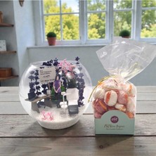 Özbience Lüx Diş Hekimi Temalı Teraryum ve Akvaryum Cam Fanus Seti