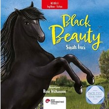 Koç Üniversitesi Yayınları Black Beauty - Siyah Inci + Bir Dünya Bilgi - Genel Kültür Kitabım + Yavaş Kaan - Matematik Her Yerde + 2 Kitap Set