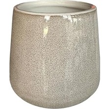 Tuncel Store Bjorn Di̇ş Firçalik