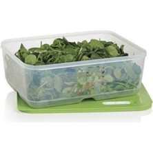 Tupperware Elite Sera 9.9 1 Adet